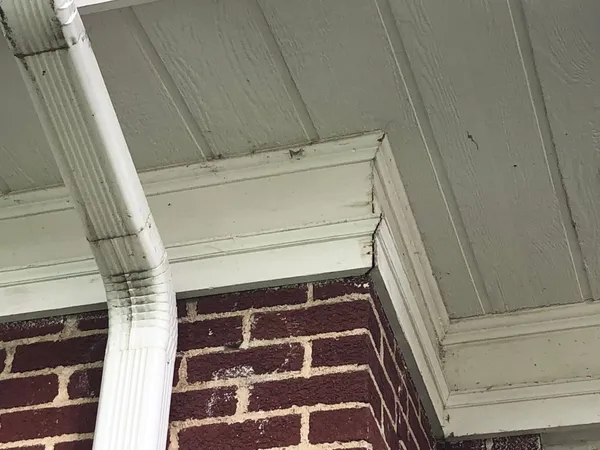 Brick Two-Story — Exterior Trim & Eaves — before, photo 2